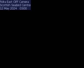 Craigleith Cliff Web Cam